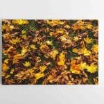 Rudeninių lapų paklodė (JG00002495)