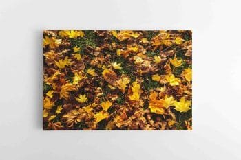 Rudeninių lapų paklodė (JG00002495)