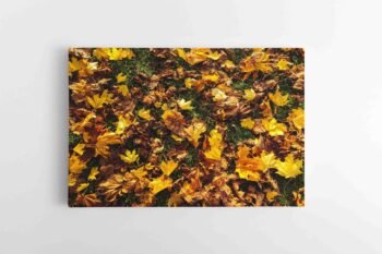 Rudeninių lapų paklodė (JG00002495)