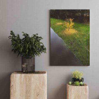 Meniškas Ruduo Kaune (JG00002496)