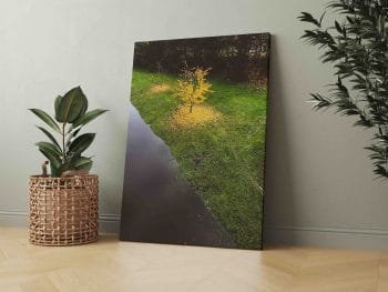 Meniškas Ruduo Kaune (JG00002496) - Image 3