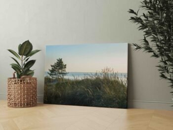 Jūros ramybė (JG00002502) - Image 2