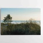 Jūros ramybė (JG00002502)