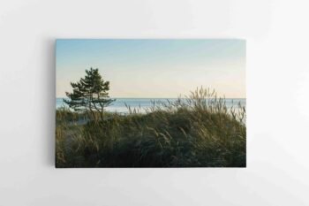 Jūros ramybė (JG00002502)