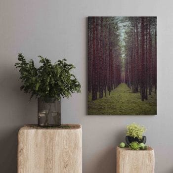 Įspūdinga Lietuvos Giria (JG00002505)