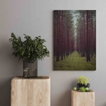 Įspūdinga Lietuvos Giria (JG00002505)