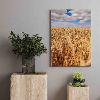 Auksinis rugių laukas (JG00002507) - Image 2