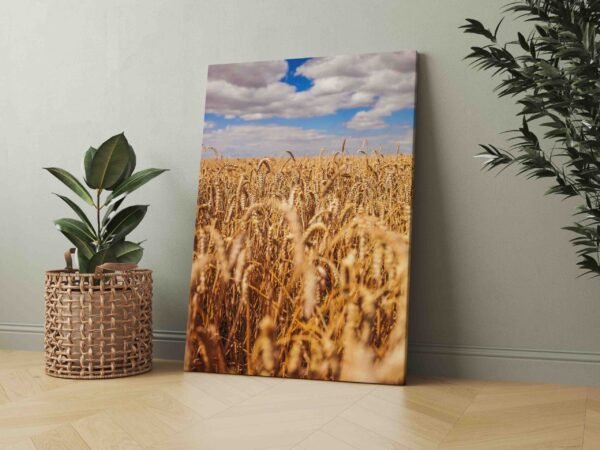 Auksinis rugių laukas (JG00002507) - Image 3