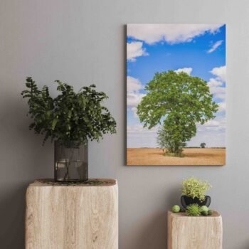 Nuostabūs Lietuvos laukai (JG00002508) - Image 2