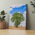 Nuostabūs Lietuvos laukai (JG00002508)