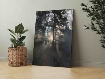 Rūkas miške (JG00002510) - Image 2