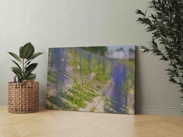 Miesto gėlės (JG00002521) - Image 2