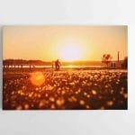 Auksinis vakaras (JG00002524)