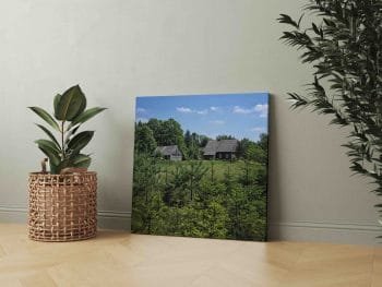 Kaimo sodyba miške (JG00002542) - Image 2