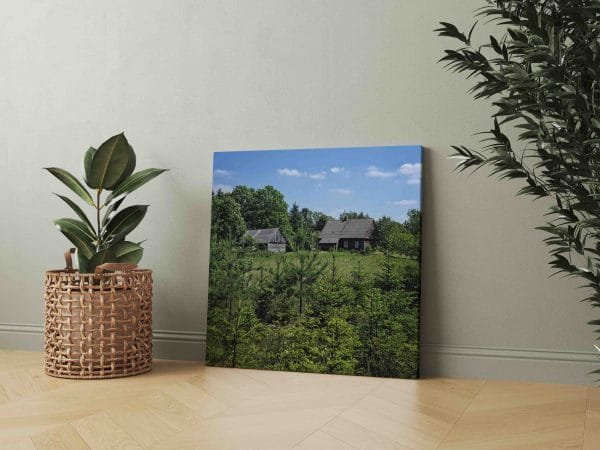 Kaimo sodyba miške (JG00002542) - Image 2