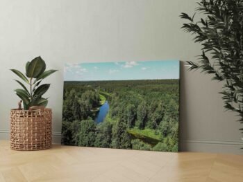 Panorama nuo Lajų tako Anykščiuose (JG00002543) - Image 2