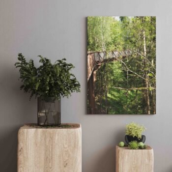 Medžių viršūnėmis Anykščiuose (JG00002548) - Image 2