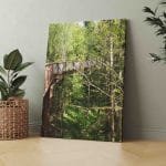 Medžių viršūnėmis Anykščiuose (JG00002548)