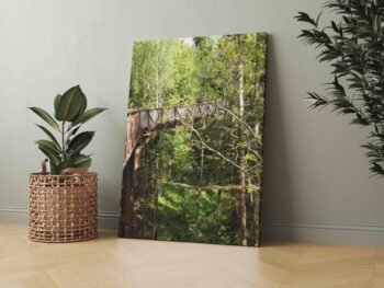 Medžių viršūnėmis Anykščiuose (JG00002548)