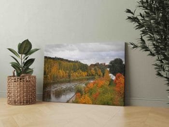 Rudens miškas Neries pakrantėje Vilniuje (JG00002552) - Image 2