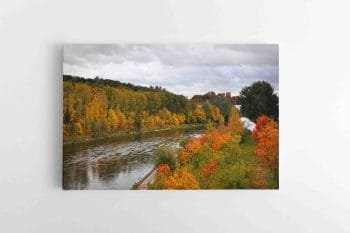 Rudens miškas Neries pakrantėje Vilniuje (JG00002552)