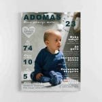 Pirmieji vaiko metai - Personalizuotas paveikslas (JGPM000001)