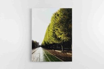 Kauno Laisvės alėja (JG00002337)