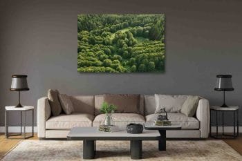 Paslaptingas Lietuvos miškas (JG00002442) - Image 2