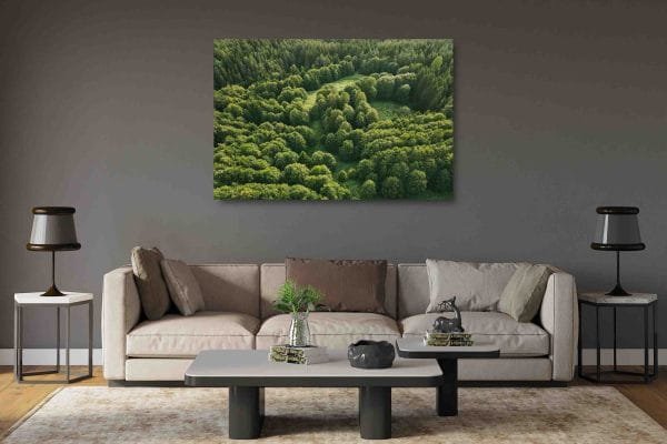 Paslaptingas Lietuvos miškas (JG00002442) - Image 2