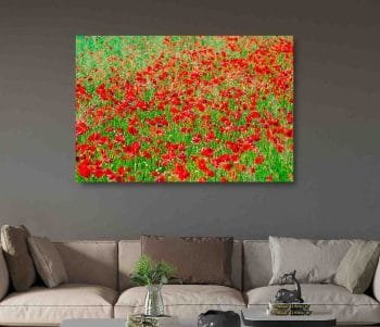 Raudonų Gėlių pieva (JG00002474) - Image 2