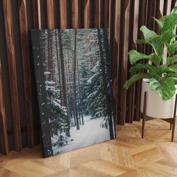 Žiemiško miško takeliais (JG00002486) - Image 2