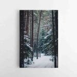 Žiemiško miško takeliais (JG00002486)