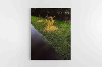 Meniškas Ruduo Kaune (JG00002496) - Image 2