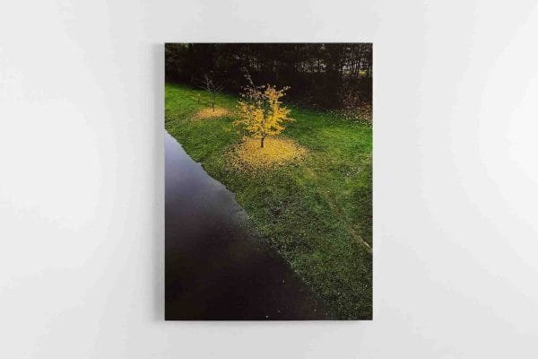 Meniškas Ruduo Kaune (JG00002496) - Image 2