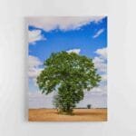 Paveikslas ant drobės