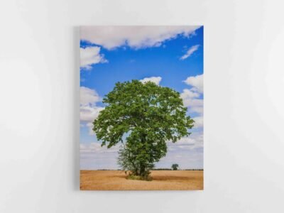 Paveikslas ant drobės