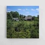 Kaimo sodyba miške (JG00002542)