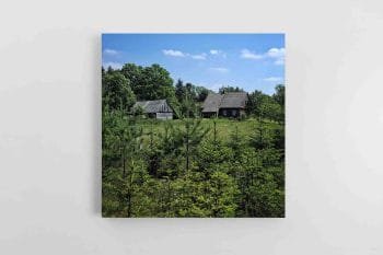 Kaimo sodyba miške (JG00002542)