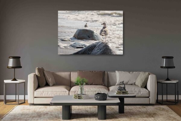 Jūros sergėtojai (JG00002578) - Image 2