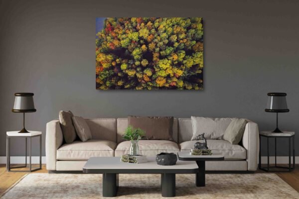 Įvairiaspalviai Lietuvos miškai (JG00002589) - Image 2