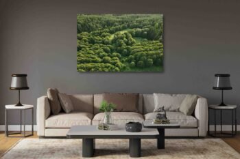 Mistinis Lietuviškas miškas (JG00002620) - Image 2