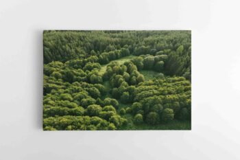 Mistinis Lietuviškas miškas (JG00002620)