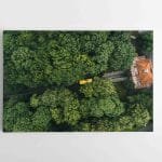 Meninė Funikulieriaus nuotrauka Kaune (JG00002622)