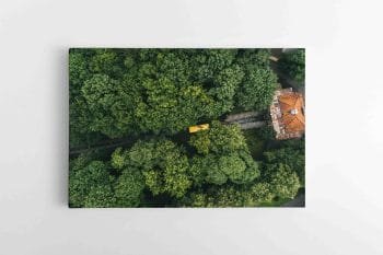 Meninė Funikulieriaus nuotrauka Kaune (JG00002622)