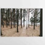 Akimirka iki Olandų Kepurės skardžio (JG00002623)