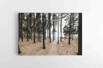 Akimirka iki Olandų Kepurės skardžio (JG00002623)