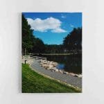 Dubingių Žirgyno Tvenkinys  (JG00002633)