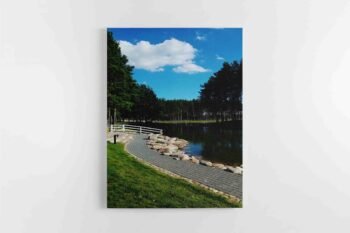 Dubingių Žirgyno Tvenkinys  (JG00002633)