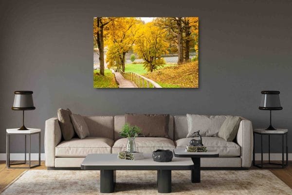 Takas prie Asvejos (Dubingių) (JG00002651) - Image 2