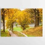 Takas prie Asvejos (Dubingių) (JG00002651)